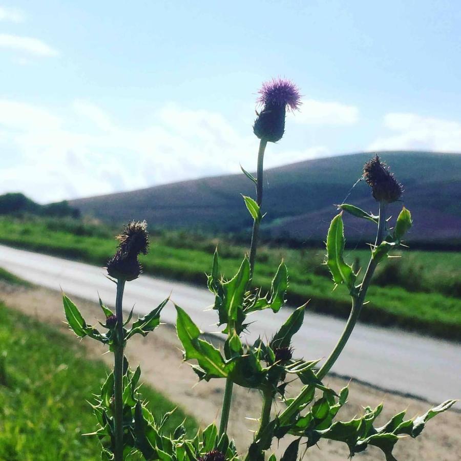 Lettoch Farm Holiday Home Dufftown Luaran gambar